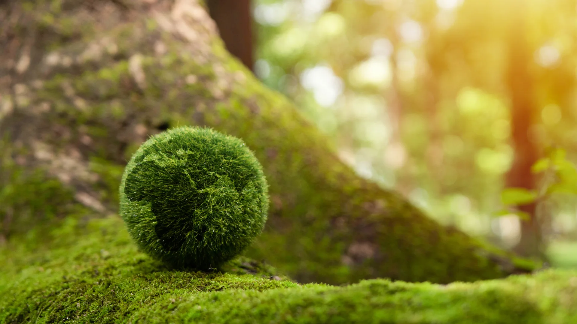 A moss-covered globe resting on a tree branch, immersed in a lush green forest. Sunlight filters through the trees in the background, creating a natural and bright atmosphere, symbolizing harmony between nature and the planet