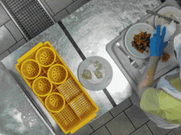 NANDO e Dussmann: Riduzione Spreco Alimentare con AI | Case Study 2026